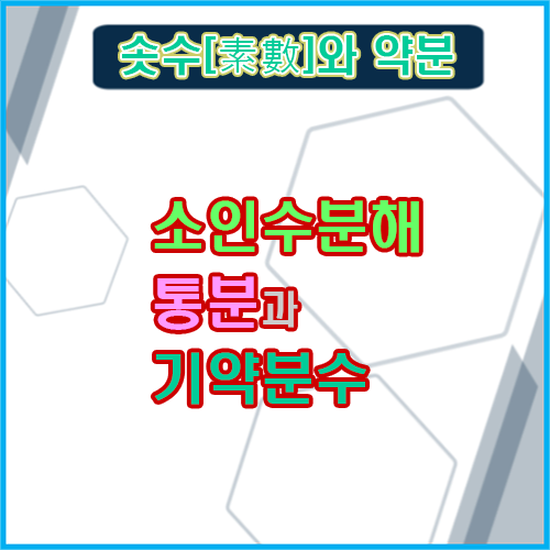 소인수분해와 약분