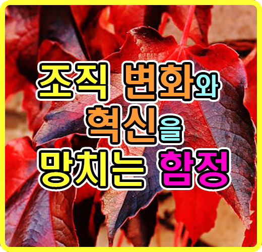 조직 변화와 확신을 망치는 함정