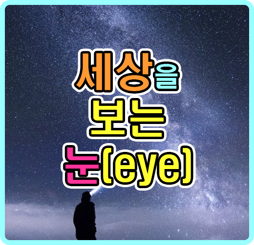 세상을 보는 눈