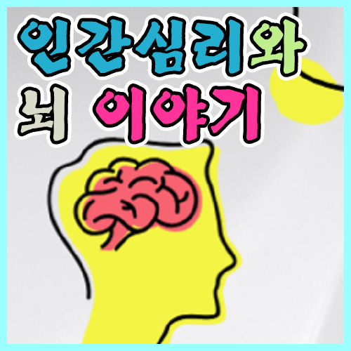 인간 심리와 뇌 이야기